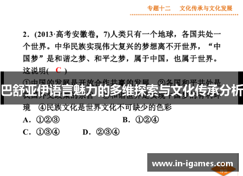 巴舒亚伊语言魅力的多维探索与文化传承分析