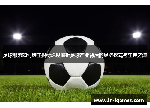 足球部落如何维生揭秘深度解析足球产业背后的经济模式与生存之道 足球部落如何维生揭秘深度解析足球产业背后的经济模式与生存之道